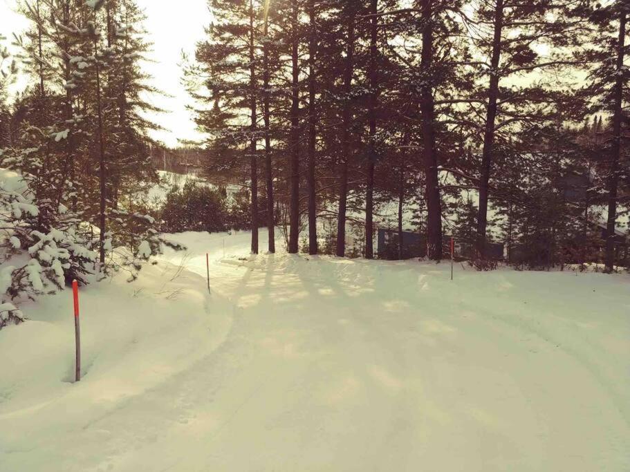 Le Chalet Bleu, Aux Pieds Des Monts-Valin Saint-David-de-Falardeau Exteriör bild