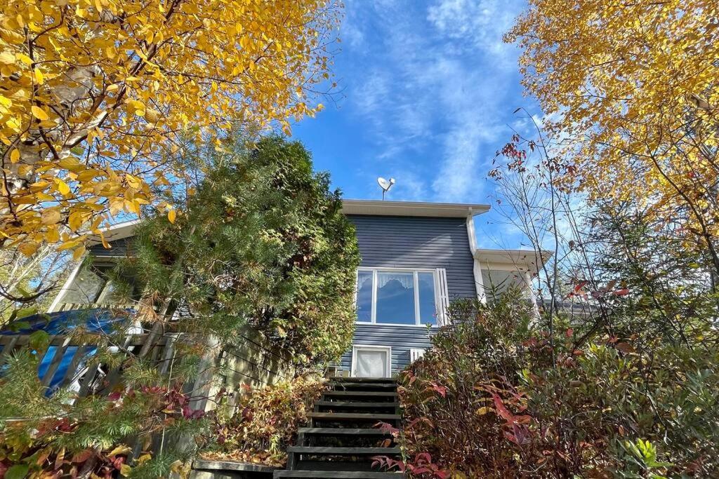 Le Chalet Bleu, Aux Pieds Des Monts-Valin Saint-David-de-Falardeau Exteriör bild