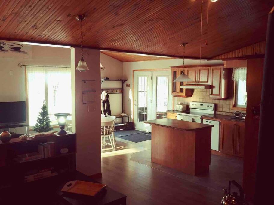 Le Chalet Bleu, Aux Pieds Des Monts-Valin Saint-David-de-Falardeau Exteriör bild